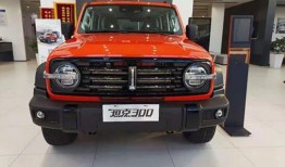 魏派坦克600最新爆料,硬核性能震撼来袭！