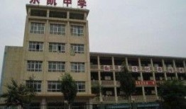 保定乐凯最新爆料,揭秘企业创新与发展新篇章