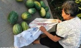 金乡最新大瓜爆料,最新大瓜爆料揭秘惊人内幕