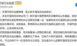 最新天津爆料博主名单,网络舆论风向标再起