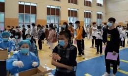 山东流浪动物爆料最新消息,最新爆料揭示生存困境与救助行动