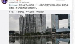 天津爆料最新,揭秘神秘事件背后的真相