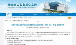 衡阳最新爆料,揭秘背后惊人真相！