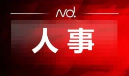 深圳市最新任命爆料,新一届领导班子正式亮相