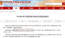 丰源万业爆料视频最新版,行业动态与未来趋势深度解析