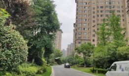 荷苑小区房价最新爆料,涨跌走势及投资分析一览